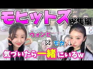 【ILLIT】モカ×ウォンヒ モヒトズ集【アイリット/日本語字幕】