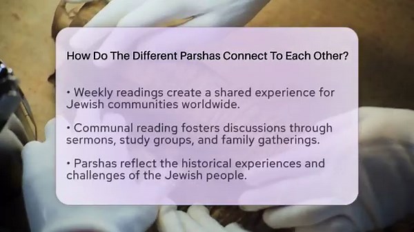How Do The Different Parshas Connect To Each Other? - Jewish Teachings For All