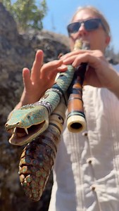 534K views · 17K reactions | This is my personal triple tri-harmonic drone snake flute. I made it in India in 2014. What do you think of the flute? At the time spent my last dime creating this. #soundhealing #healingvibrations #healingmusic #droneflute #flutemusic #organicinstruments #432hz #calmingsounds #musicinnature #moldavite #emerald #india thanks for always being there to film @mediabymoo | RootFlute | Facebook