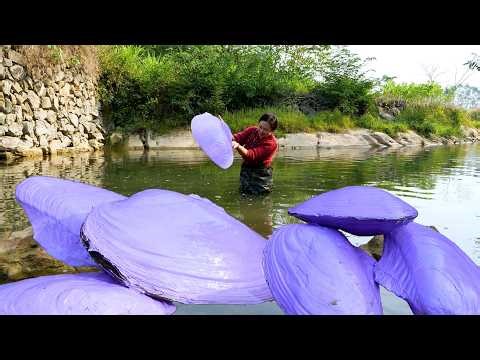 😱😱Pry open the giant purple clam, which is pregnant with countless purple pearls, captivating