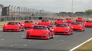 Ferrari F40 Lineup Owned by Millionaires