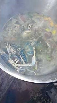 Traditional Jamaican land crab recipe #jamaicanrecipe #crabseason