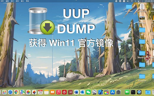 UUP Dump 获取 Win11 ISO 详细教程（macOS 和 Windows）