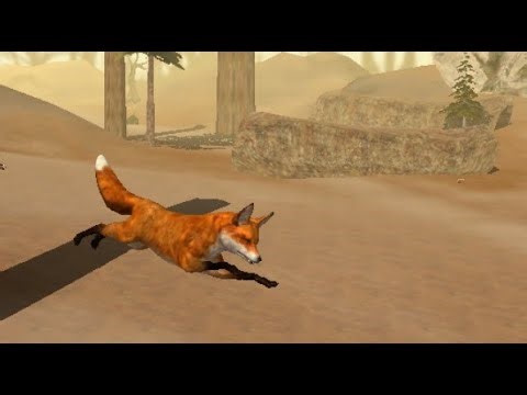 Ultimate Fox Simulator - Red Fox Part 3 - The Searing Desert Sands!