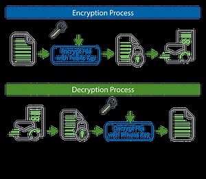 Generate A New Key Pair Pgp