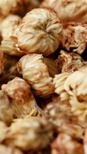 Forget germs—ancient healers had a totally different secret to health. Traditional systems like Chinese Medicine and Ayurveda understand health and disease very differently from the germ theory that dominates modern medicine. Rather than focusing solely on microbes as the enemy, these ancient models emphasize internal balance and how the body interacts with external pathogenic factors like wind, heat, cold, and dampness. Germ theory, often keeps us trapped in a mindset of fear—fear that we will 