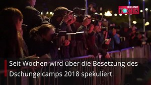 Die Kandidaten des Dschungelcamps 2018