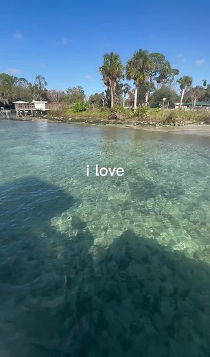 Aventuras Mágicas en Crystal River Preserve