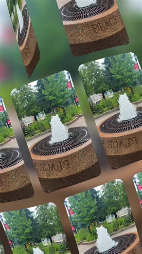 freedomwolf on TikTok