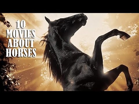 10 Movies about horses