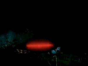 NOW STREAMING: NIGHT BEAST (1982) - An alien w/ an appetite for blood disembowelment is set loose on a small town when its spacecraft crashes. When sheriff Jack Cinder arrives on the scene, a violent battle ensues that leaves only Jack, his horny lady deputy, and a wild-eyed redneck as survivors. With a corrupt mayor unwilling to stand up against the Nightbeast’s reign of carnage destruction, it’s up to Jack to evacuate the townsfolk and save the day! Find this title more in our TROMA section! N