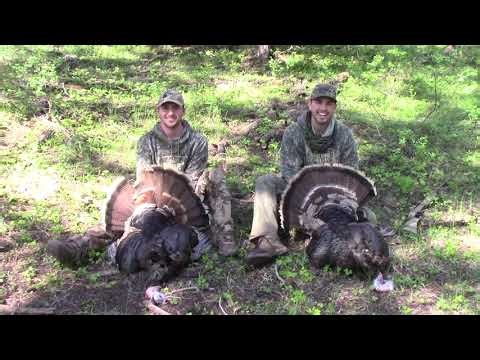 Merriam Spring Turkey Hunt | Mountains of Idaho