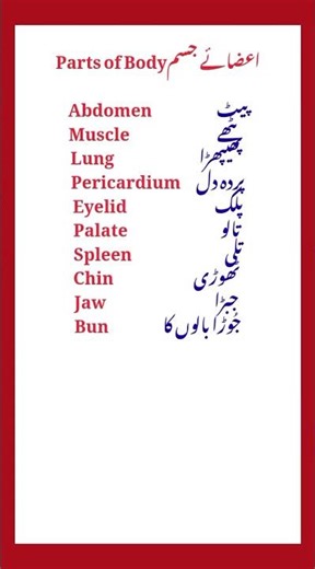 Human Body Parts with Urdu Meanings | Learn English Anatomy Words