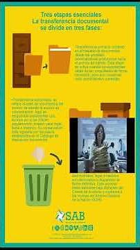 La transferencia documental se divide en tres