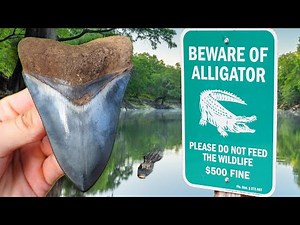Once in a Lifetime Trip Fossil Hunting in Florida