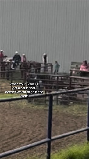 hunter.and.macy (@hunter.and.macy)’s videos with original sound - Sher Ross Writes