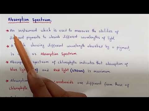 Role of Light in Photosynthesis | Absorption & Action Spectrum | Class 11 Biology New Book 2025