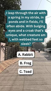 Can you guess the answer to this leaping riddle? 🐸 #BrainTeaser #Search #PuzzleTime | Kunal’s Logic