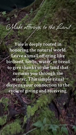 12 Easy Rituals for the 12 Days of Yule: Part 7 - Leave offerings for the land