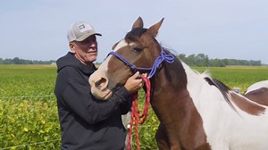 Electric Fence Polytape 1000ft - High Visibility 3/4" Livestock Fence Tape with 6 Tinned Copper Wire, 0.2 Ohm Low Resistance, 330lb Strength - Safe Horse & Goat Fencing, UV Resistant, 10-Year Warranty