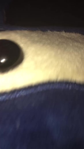 I NEED 1 ROBUX OKEASE #fup #robux