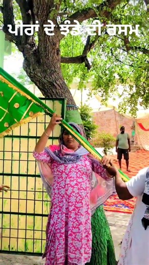 ਪੀਰਾਂ ਦੇ ਝੰਡੇ ਦੀ ਰਸਮ inderjit dholi Beas #dholibeats #viralvideo #trending #viral