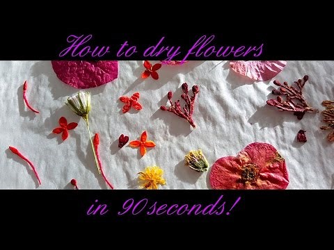 How to dry flowers in 90 seconds!