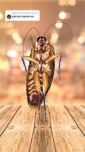 esva49 (@escollection1)’s videos with original sound - esva49