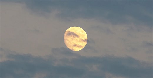 What Time Is August's Full Moon? An Astronomer Explains What's Special About It