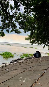 993K views · 46K reactions | চাঁদপুরের সবচেয়ে সুন্দর জায়গা  . #চাঁদপুর #borostation #mohona @ | Confusion | Facebook