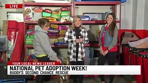 2.7K views · 55 reactions | It's National Pet Adoption Week and in honor Buddy's Second Chance Rescue is taking $50 off adoption fees. 40 dogs are in need of a fur-ever home and more will be coming on 11/17. ❤ | Gabrielle Mediak | Facebook