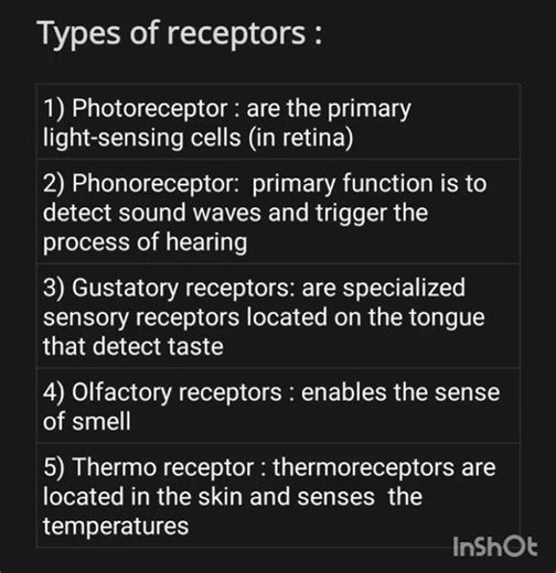 part 2 control and coordination class 10 handwritten notes ( Types of receptors)