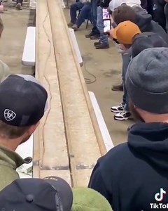 We're racing for pinks! #Repost @americanmusclehd • • • • • • I have seen it all... 🤣🤣🤣🤣. Belt sander racing 🔥🔥 Credit : moofriender #beltsander | RacingJunk.com Classifieds