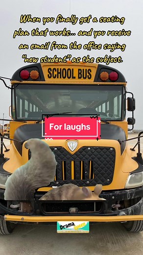 #Meme #MemeCut #seatingplan #plan #change #schoolbus #schoolbusdriver