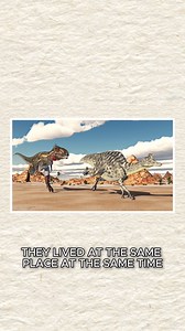 All you wanted to know about Dinos! | Animalogic