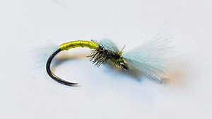 CDC Midge Pupa Dry Fly. Full video https://youtu.be/rwnFqT04af8?si=KG4v3dOPDgEmecpv @veevusfishing #flytying #flyfishing #shotaflies #dryfly #CDC #midge #pupa #troutfly #grayllingfly #troutfishing #graylingflyfishing #flytyingtotorial #shotaflies #Bestfly #flytyingtutorial #flytyingcommunity #graylingfishing #flyfishingnation #troutfishing #troutflies | Shota Jokhadze