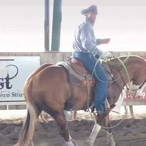 El campeón del reining Casey Deary vino a pasar el día y nos brindó unos piales en REF Majestico. Casey tenía mucho tiempo sin remolinear una soga pero sus hijos quieren aprender a lazar y aquí le cambiamos unos tips de reining por unos tips de lazo! Por suerte estaban los papparazzi atentos! | Subasta Caballos
