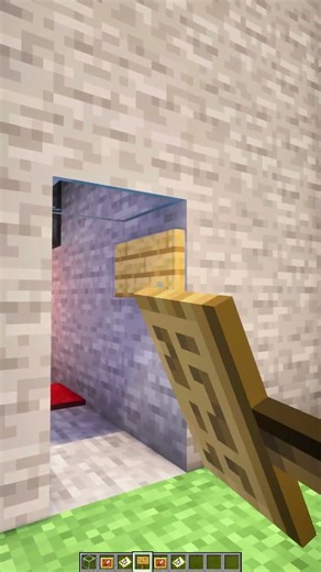 Minecraft Fake Wall🤫 #minecraft