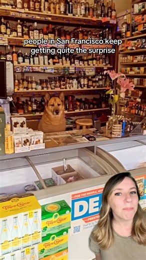 876K views · 73K reactions | Omar and Major work at Key Food Market,...