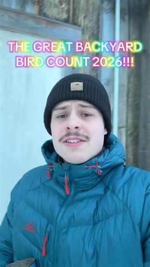 Ready to get into birding? The perfect event is coming up for you to get started! Watch this video and check out the website to learn more about the Great Backyard Bird Count. #birdsofvermont #vermont #birds #museum #greatbackyardbirdcount