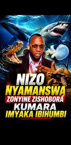 Nizo nyamanswa zishobola kubaho igihe kilekile kulusha n’ikilemwamuntu 😱😱😱#fypppppppppppppppppppppppp #fypppppppppppppppppppppppp #viral #ticktokrwanda🇷🇼 #niyo_the_finder