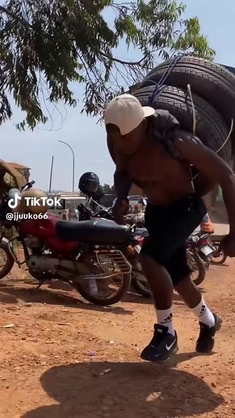 Puffin ASMR: Relax and Unwind with Nature Sounds