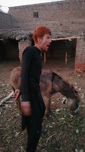 Mazy | Khargosh Vs Hunting Grop | Facebook