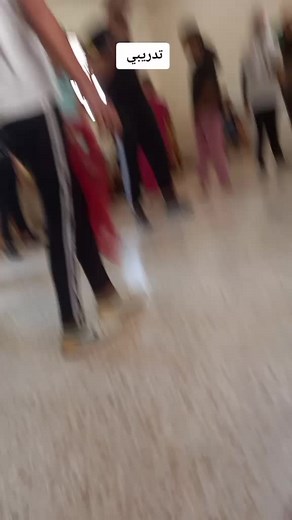 #dance #fyp #foryou #foryoupage #viral #explore #palestine🇵🇸 #lebanon🇱🇧 #dabke