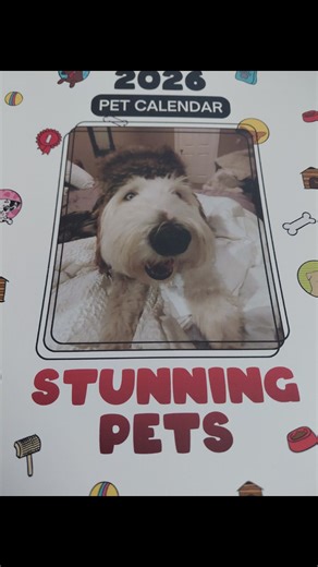 Cutest dog on record. | Thomas Ellis