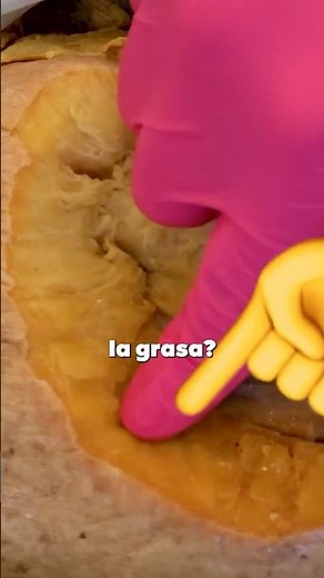¿Qué es la grasa? Y pará qué existe
