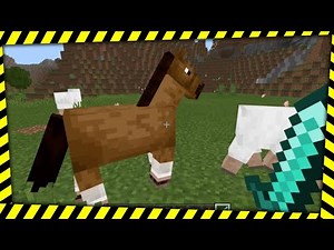 Minecraft Bedrock - How to Kill Anything and Everything with the Kill Command