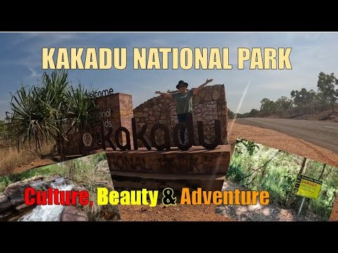 Kakadu: waterfalls, Indigenous culture and iconic Aussie wildlife
