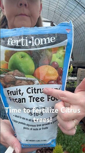 How to fertilize Citrus trees! #citrus #growyourownfood #garden #gardening