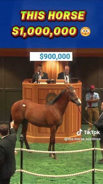 Cattle Auction Insights: Bidding on Horses in the USA